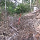 Laying out the loop track 3. Cambridge Tree Trust